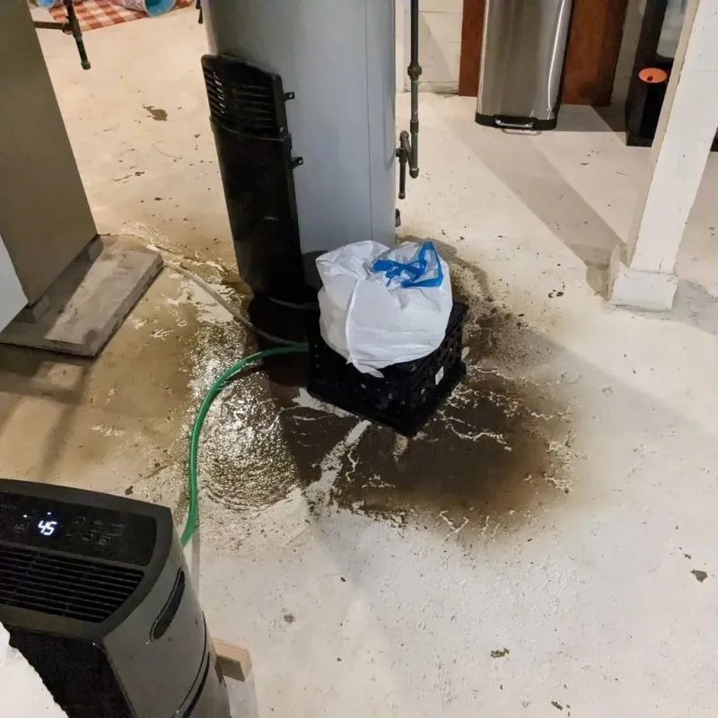 Sewage Backup Cleanup Service in Horry County, SC